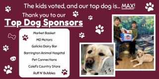 TOP DOG 2026