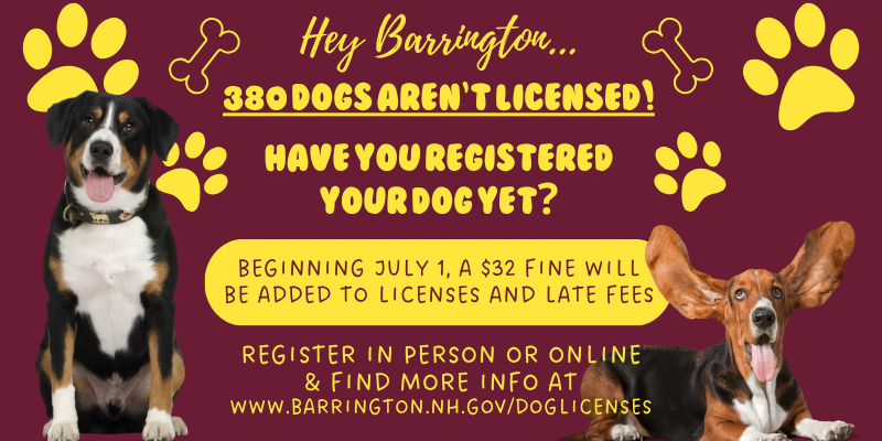 burgundy background, two dogs, yellow lettering. Have you registered your dog yet? Register by July 1 or $32 fine